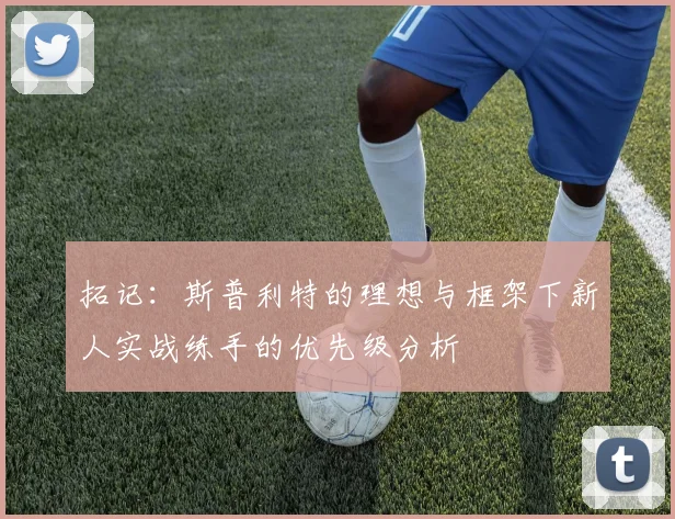 拓记：斯普利特的理想与框架下新人实战练手的优先级分析